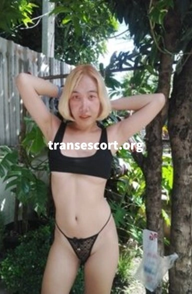 shemale HoneyAnn | Image 2