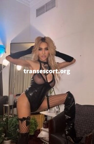 shemale Nikita Lust, Transsexual escort