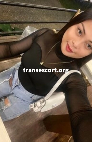 shemale Chubby Lita | Image 2