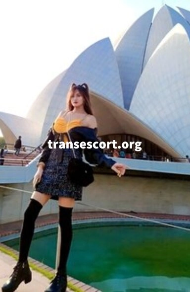 shemale Domination Young LadyBoy Mistress | Image 2