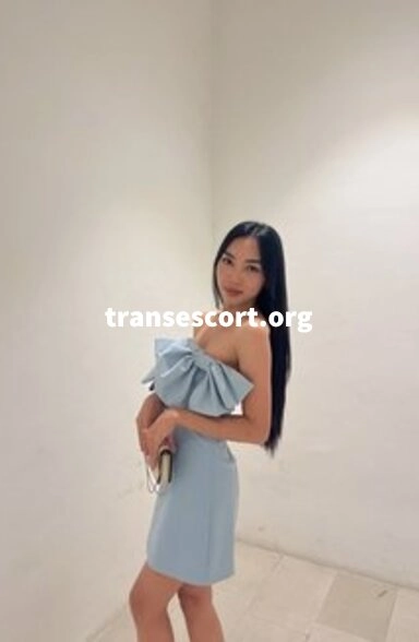 shemale High class companion Ariana | Image 2