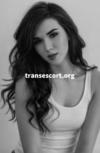 Nika 🇺🇦 Shemale Top, Transsexual escort