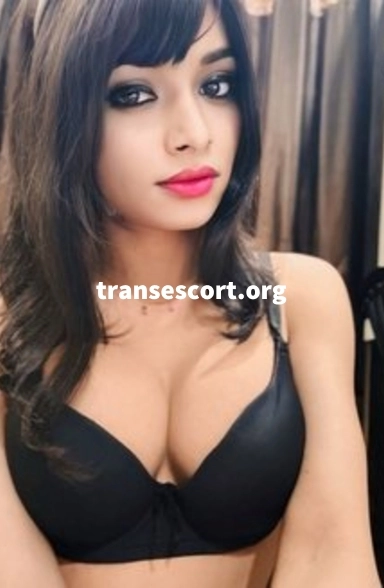 TRISHA SHEMALE VISITOR