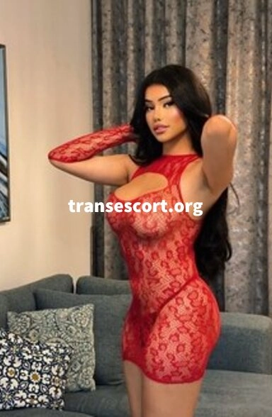 shemale Yasmina Bellami Your Sexy Arab Doll 🇾🇪, Transsexual escort | Image 3