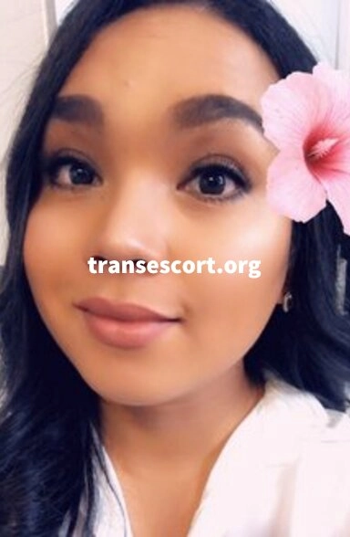 shemale Zaicy, Transsexual escort | Image 3